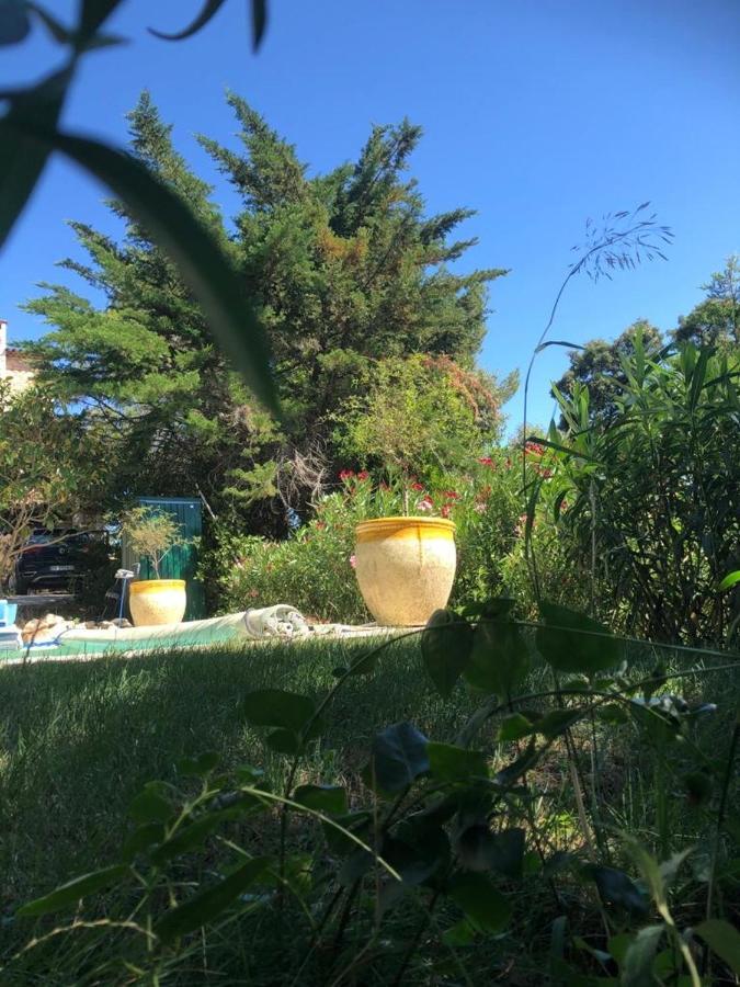 B&B Oasis Des Lavandes - Chambre Coqueliot Villeneuve-lès-Avignon Εξωτερικό φωτογραφία